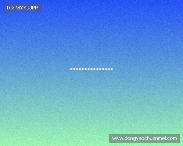 《得闲炒饭》：一首温柔的恋曲，一段关于爱与失去的动人回响