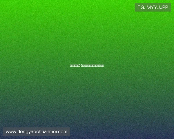 《华丽的挑战26》：当星辰闪耀，梦想在指尖绽放