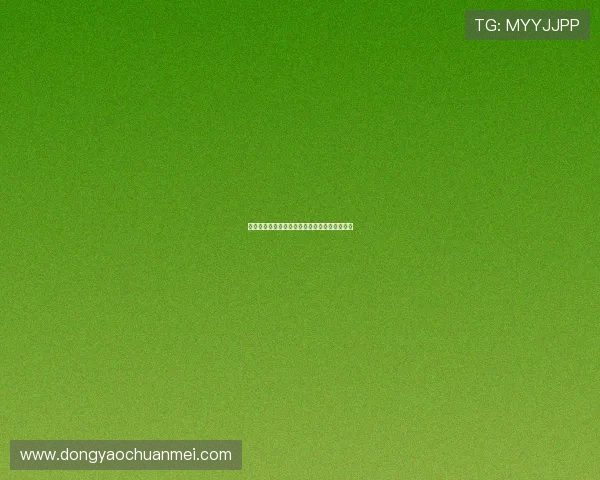 《猫眼三姐妹》：一场关于女性力量的狂欢盛宴