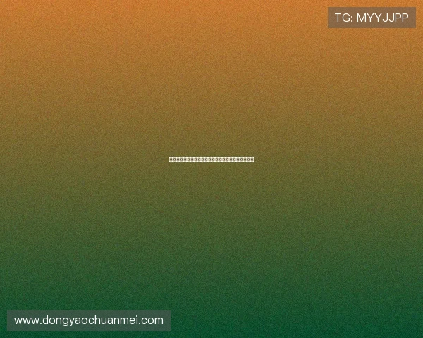 光影织梦：艺术家的生涯，一场关于热爱与坚持的史诗