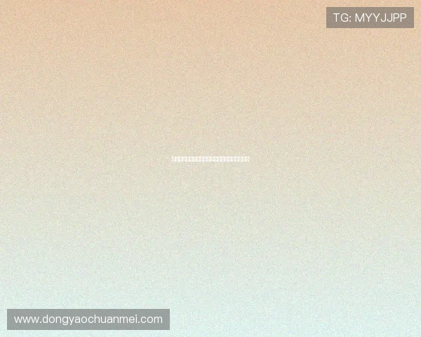 夏木响子：在光影与诗意间，感受岁月的温柔回响