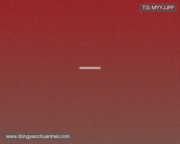 娱乐现场：光影交织，梦想启航