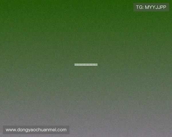 狄克崔西：解码数字时代的无限可能